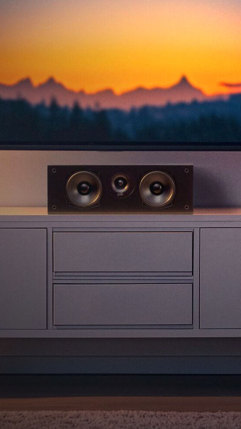 Polk center channel speaker