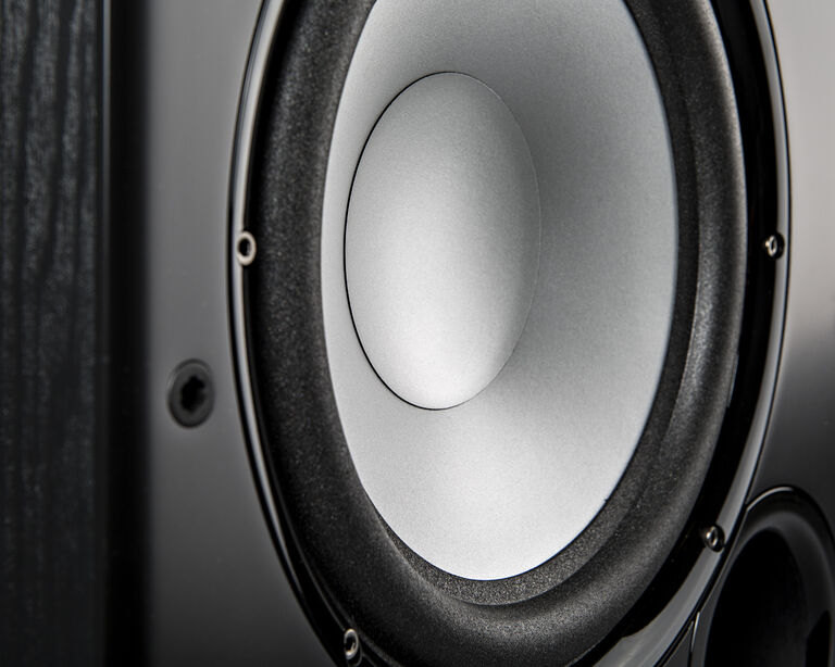 PSW speaker closeup PSW speaker closeup