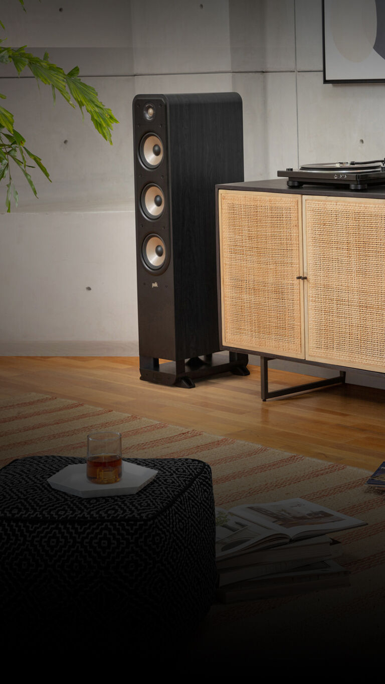 Polk floor-standing speakers