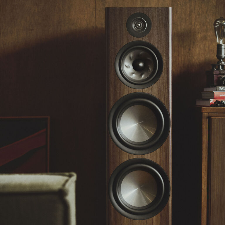 A Reserve Floor Standing Speaker