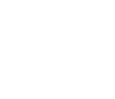 Free FAST Shipping
